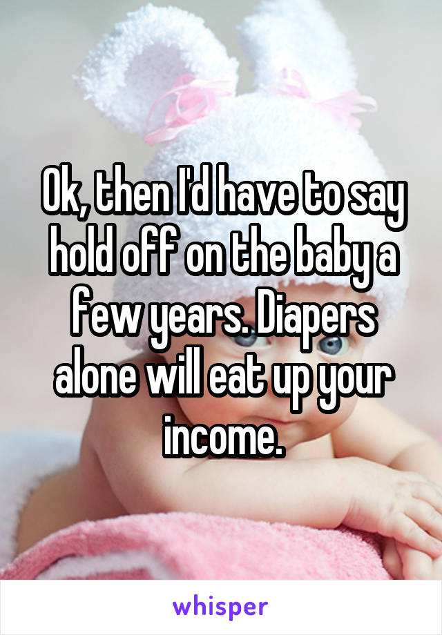 Ok, then I'd have to say hold off on the baby a few years. Diapers alone will eat up your income.