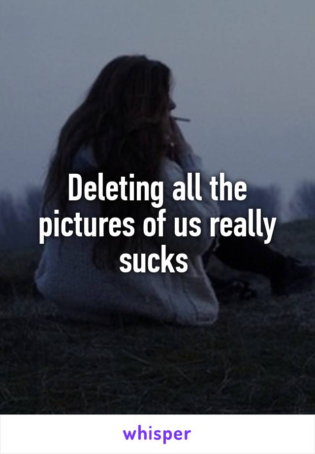 Deleting all the pictures of us really sucks 