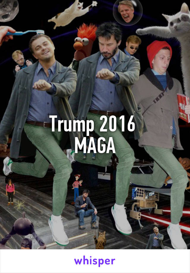 Trump 2016 
MAGA