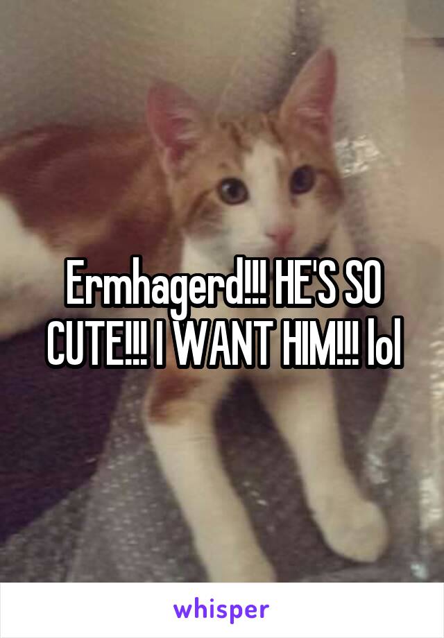 Ermhagerd!!! HE'S SO CUTE!!! I WANT HIM!!! lol