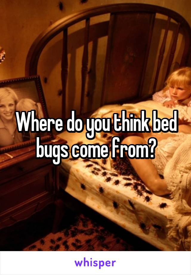 Where do you think bed bugs come from?