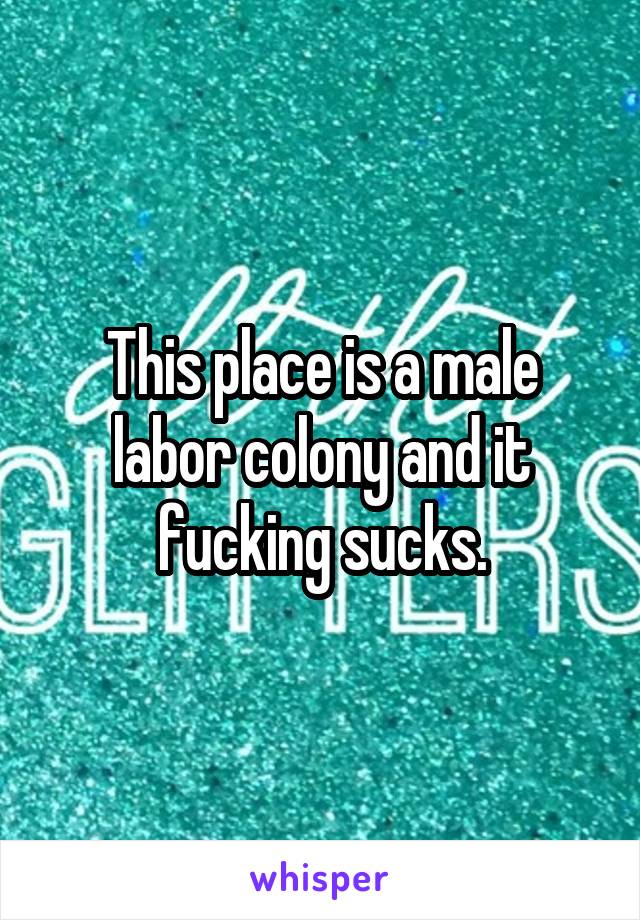 This place is a male labor colony and it fucking sucks.