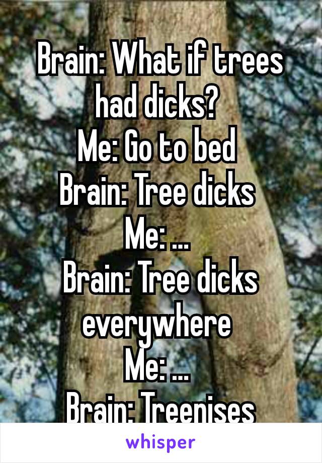 Brain: What if trees had dicks? 
Me: Go to bed 
Brain: Tree dicks 
Me: … 
Brain: Tree dicks everywhere 
Me: … 
Brain: Treenises