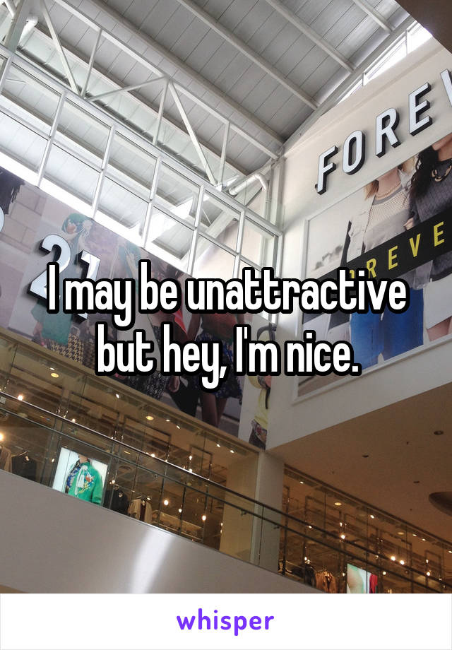 I may be unattractive but hey, I'm nice.