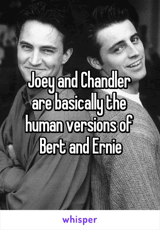 Joey and Chandler 
are basically the 
human versions of 
Bert and Ernie