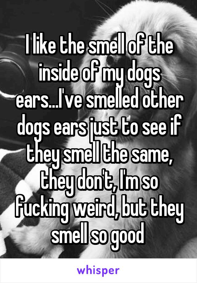 I like the smell of the inside of my dogs ears...I've smelled other dogs ears just to see if they smell the same, they don't, I'm so fucking weird, but they smell so good 