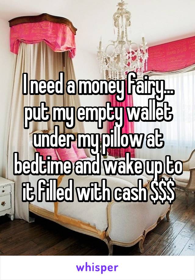 I need a money fairy... put my empty wallet under my pillow at bedtime and wake up to it filled with cash $$$