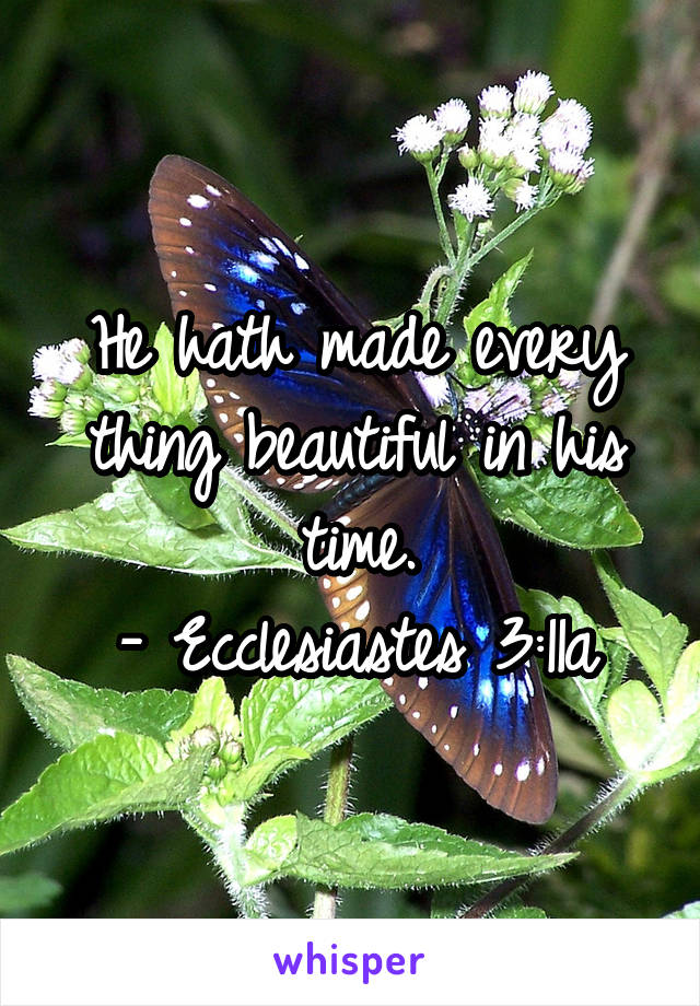 He hath made every thing beautiful in his time.
- Ecclesiastes 3:11a