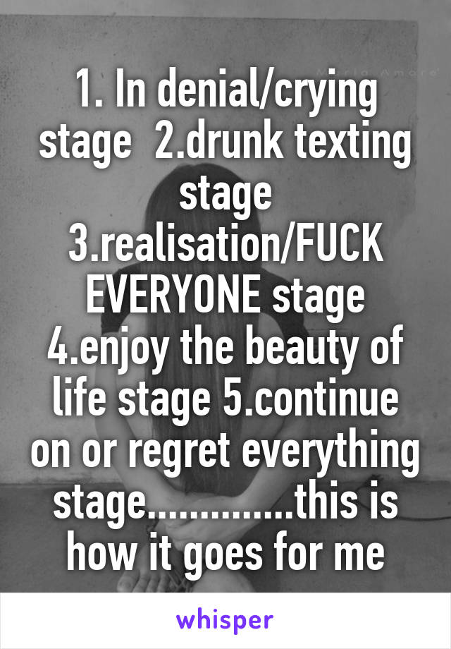 1. In denial/crying stage  2.drunk texting stage 3.realisation/FUCK EVERYONE stage 4.enjoy the beauty of life stage 5.continue on or regret everything stage..............this is how it goes for me