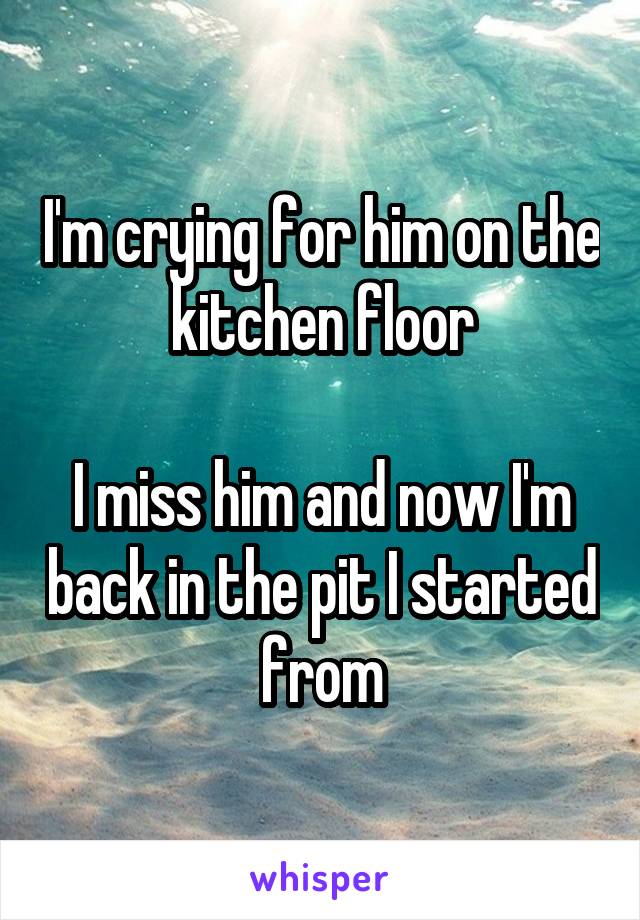 I'm crying for him on the kitchen floor

I miss him and now I'm back in the pit I started from