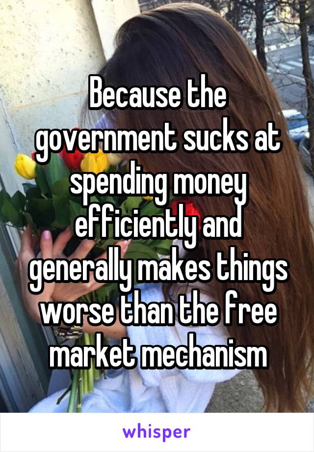 Because the government sucks at spending money efficiently and generally makes things worse than the free market mechanism