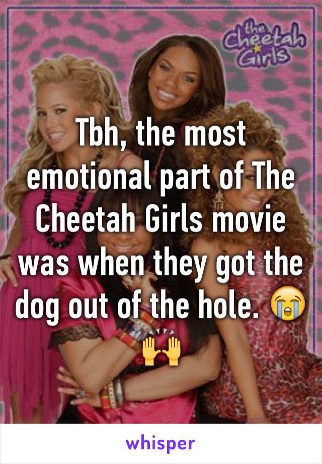 Tbh, the most emotional part of The Cheetah Girls movie was when they got the dog out of the hole. 😭🙌