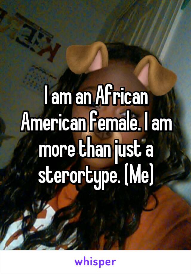 I am an African American female. I am more than just a sterortype. (Me)