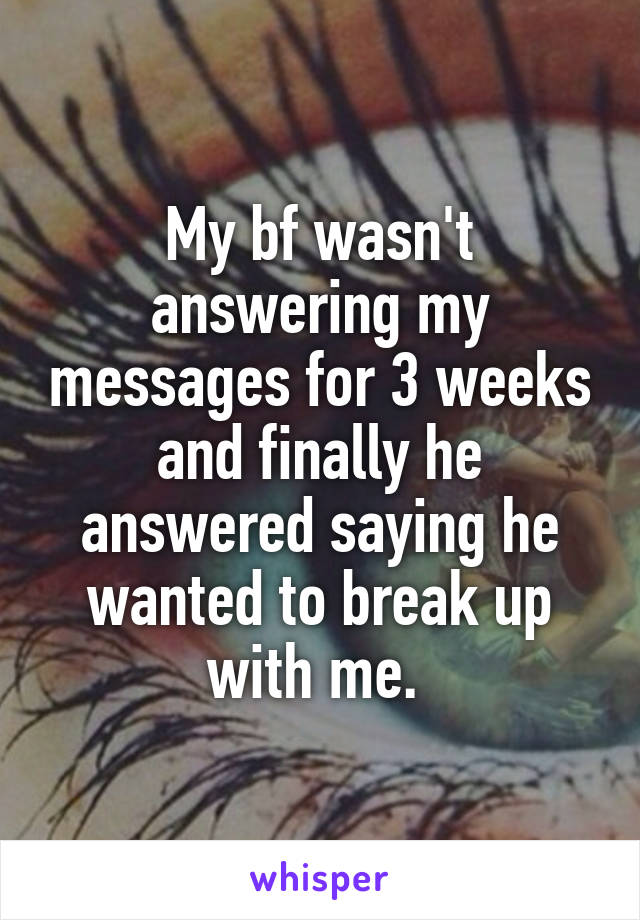 My bf wasn't answering my messages for 3 weeks and finally he answered saying he wanted to break up with me. 