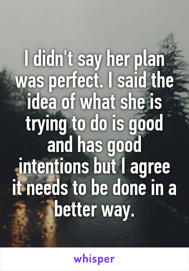 I didn't say her plan was perfect. I said the idea of what she is trying to do is good and has good intentions but I agree it needs to be done in a better way.