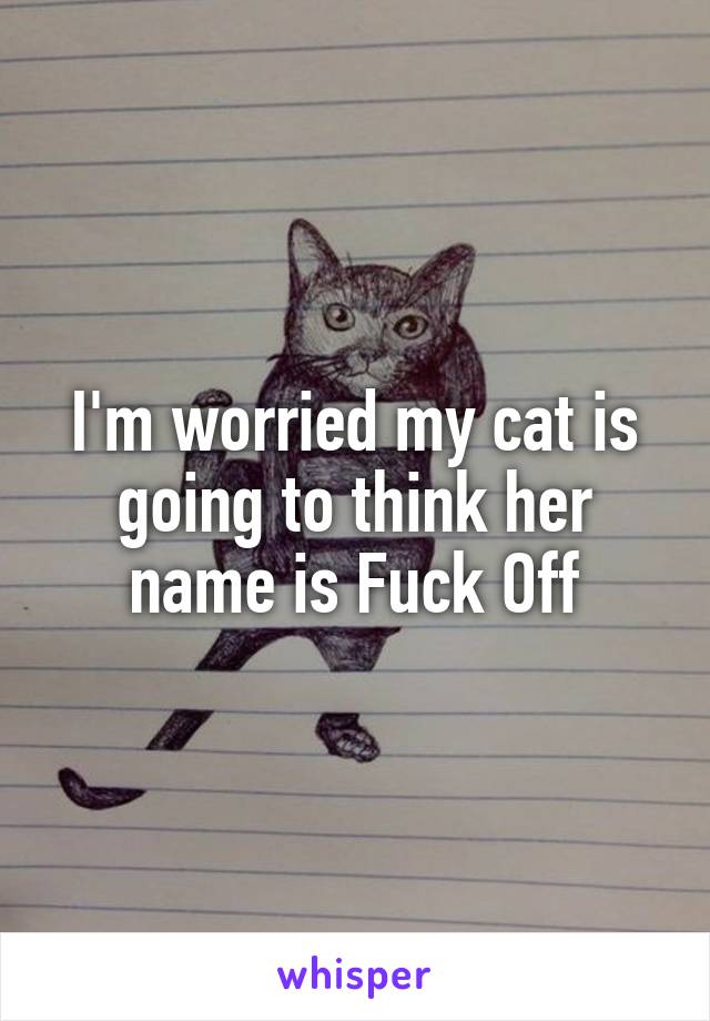 I'm worried my cat is going to think her name is Fuck Off