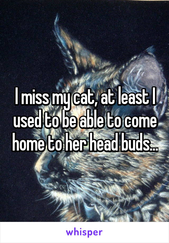 I miss my cat, at least I used to be able to come home to her head buds...