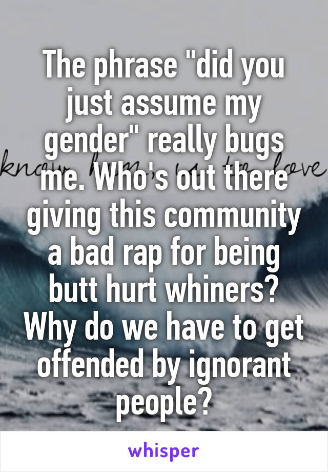 The phrase "did you just assume my gender" really bugs me. Who's out there giving this community a bad rap for being butt hurt whiners? Why do we have to get offended by ignorant people?