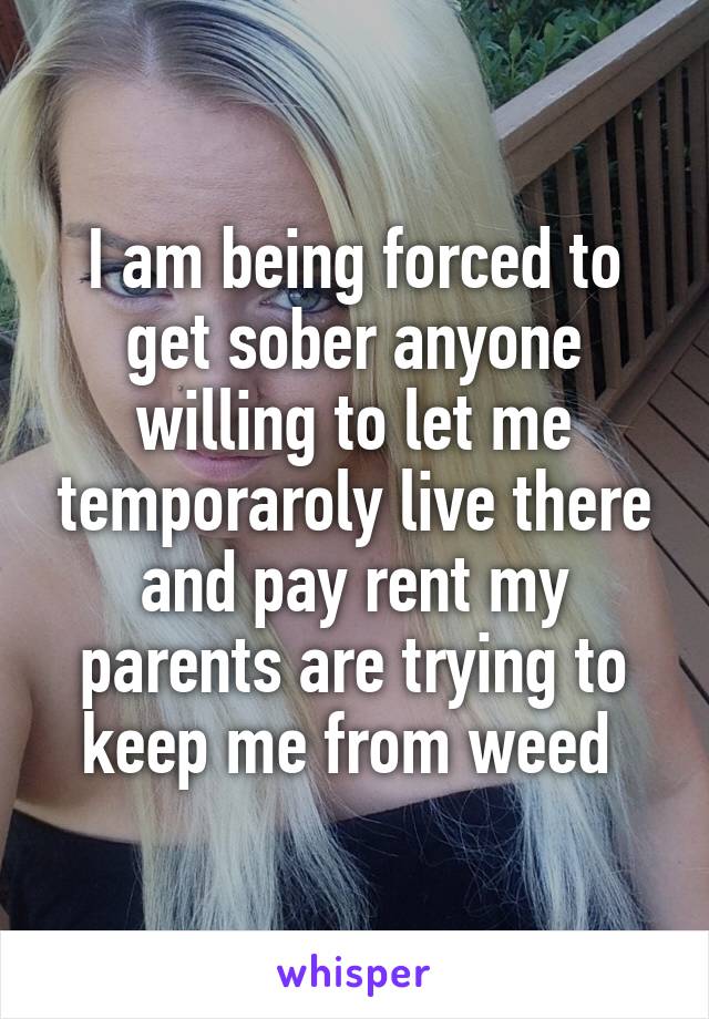 I am being forced to get sober anyone willing to let me temporaroly live there and pay rent my parents are trying to keep me from weed 