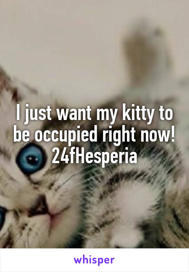 I just want my kitty to be occupied right now!
24fHesperia