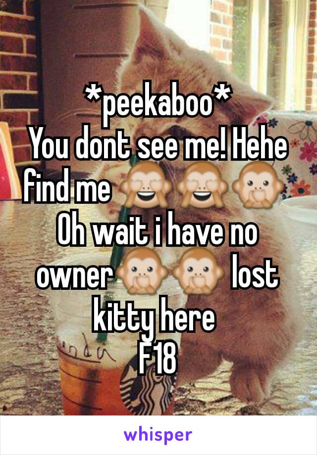 *peekaboo*
You dont see me! Hehe find me 🙈🙈🙊 
Oh wait i have no owner🙊🙊 lost kitty here 
F18