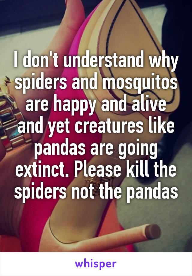 I don't understand why spiders and mosquitos are happy and alive and yet creatures like pandas are going extinct. Please kill the spiders not the pandas 