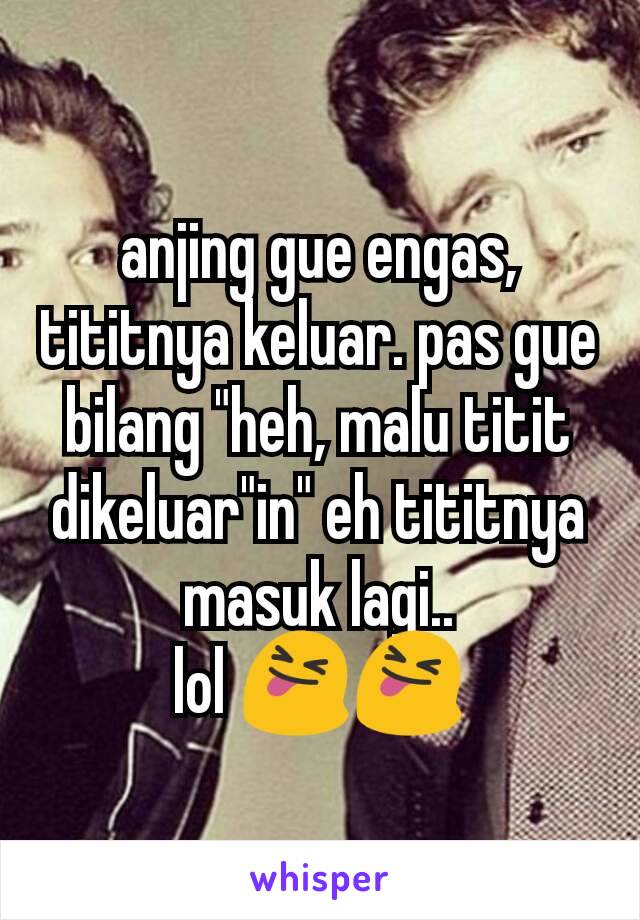 anjing gue engas, tititnya keluar. pas gue bilang "heh, malu titit dikeluar"in" eh tititnya masuk lagi..
lol 😝😝