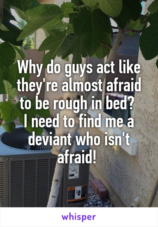 Why do guys act like they're almost afraid to be rough in bed? 
I need to find me a deviant who isn't afraid! 