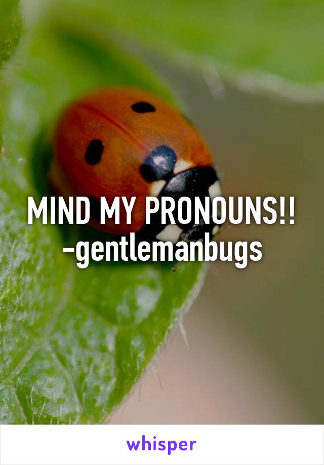 MIND MY PRONOUNS!!
-gentlemanbugs