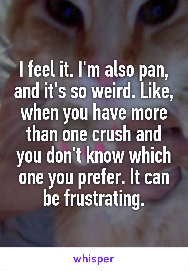 I feel it. I'm also pan, and it's so weird. Like, when you have more than one crush and you don't know which one you prefer. It can be frustrating.