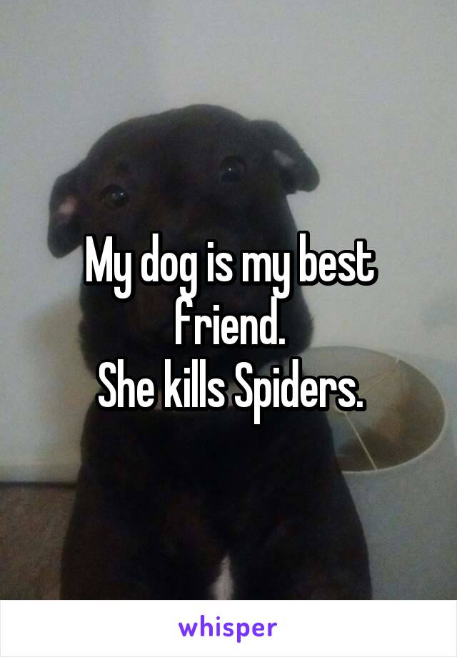 My dog is my best friend.
She kills Spiders.