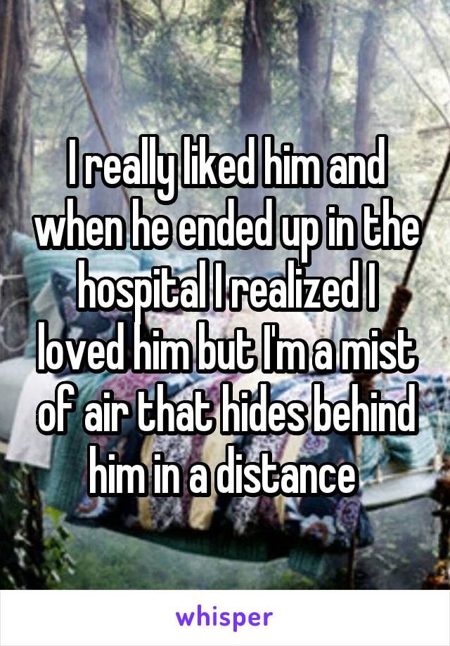 I really liked him and when he ended up in the hospital I realized I loved him but I'm a mist of air that hides behind him in a distance 