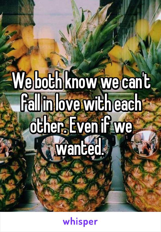 We both know we can't fall in love with each other. Even if we wanted. 