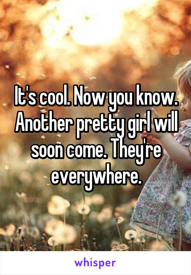 It's cool. Now you know. Another pretty girl will soon come. They're everywhere.