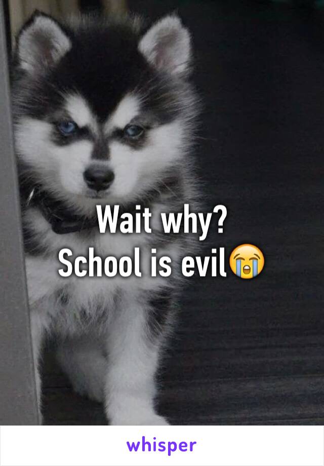 Wait why?
School is evil😭