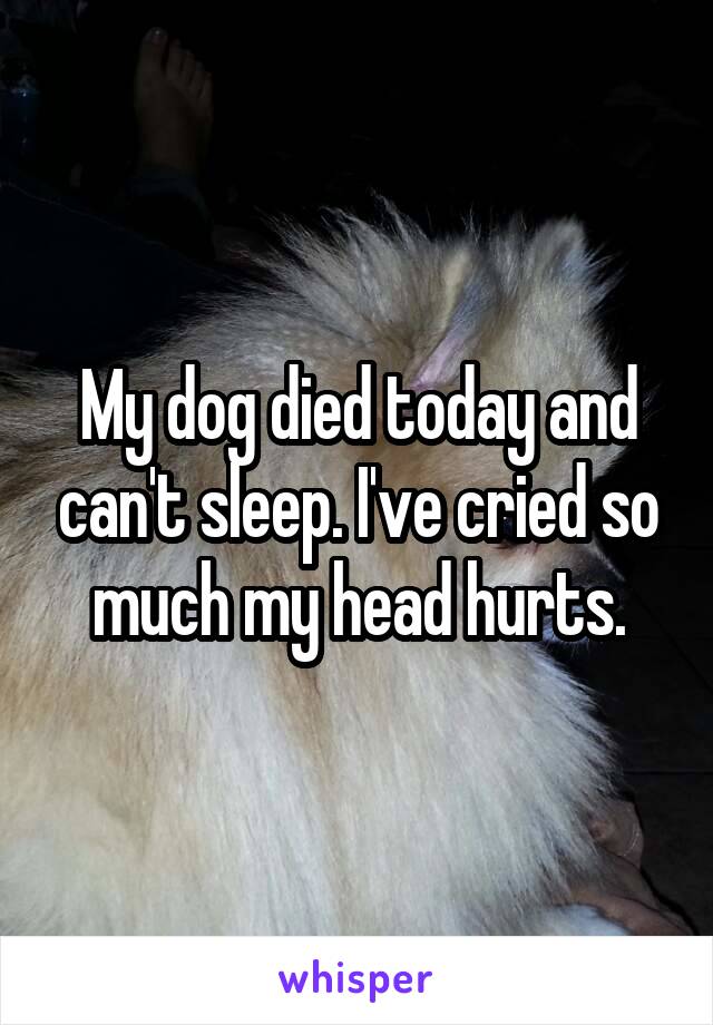 My dog died today and can't sleep. I've cried so much my head hurts.