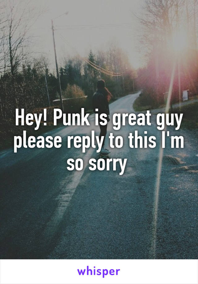 Hey! Punk is great guy please reply to this I'm so sorry 