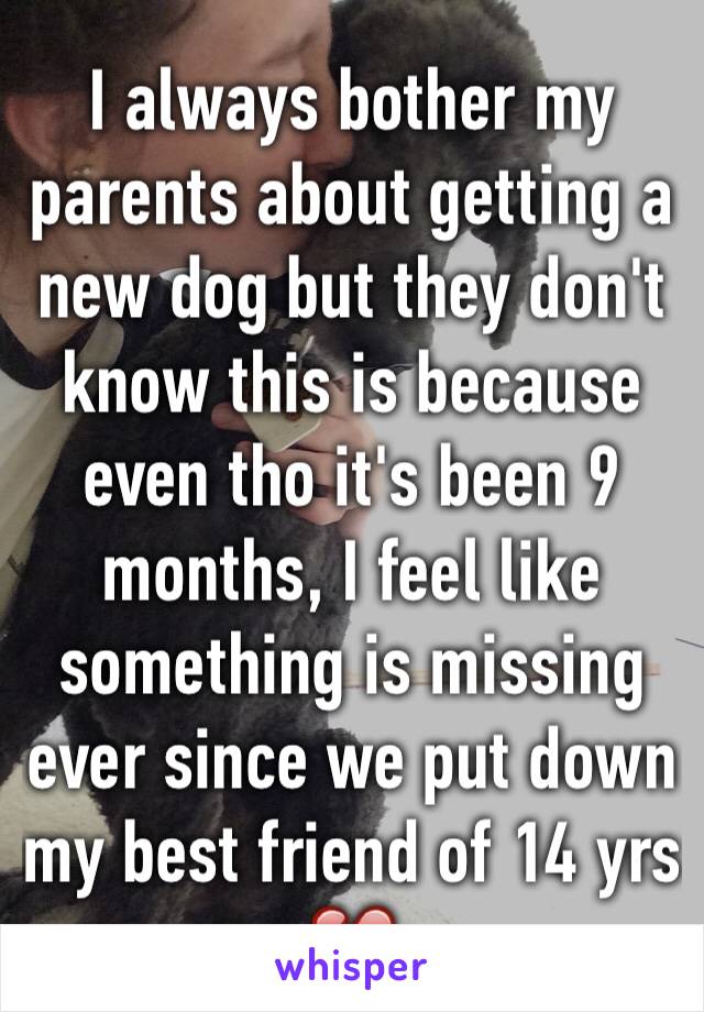 I always bother my parents about getting a new dog but they don't know this is because even tho it's been 9 months, I feel like something is missing ever since we put down my best friend of 14 yrs 💔