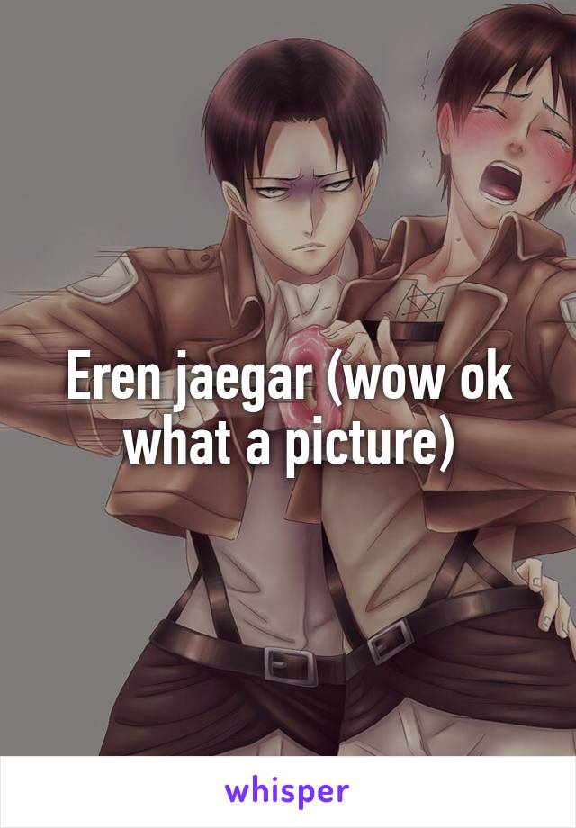 Eren jaegar (wow ok what a picture)