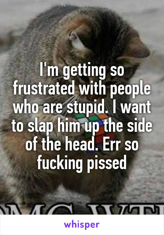 I'm getting so frustrated with people who are stupid. I want to slap him up the side of the head. Err so fucking pissed