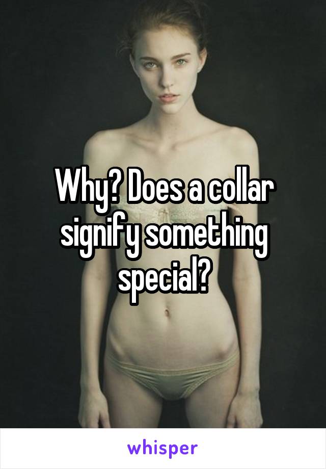 Why? Does a collar signify something special?