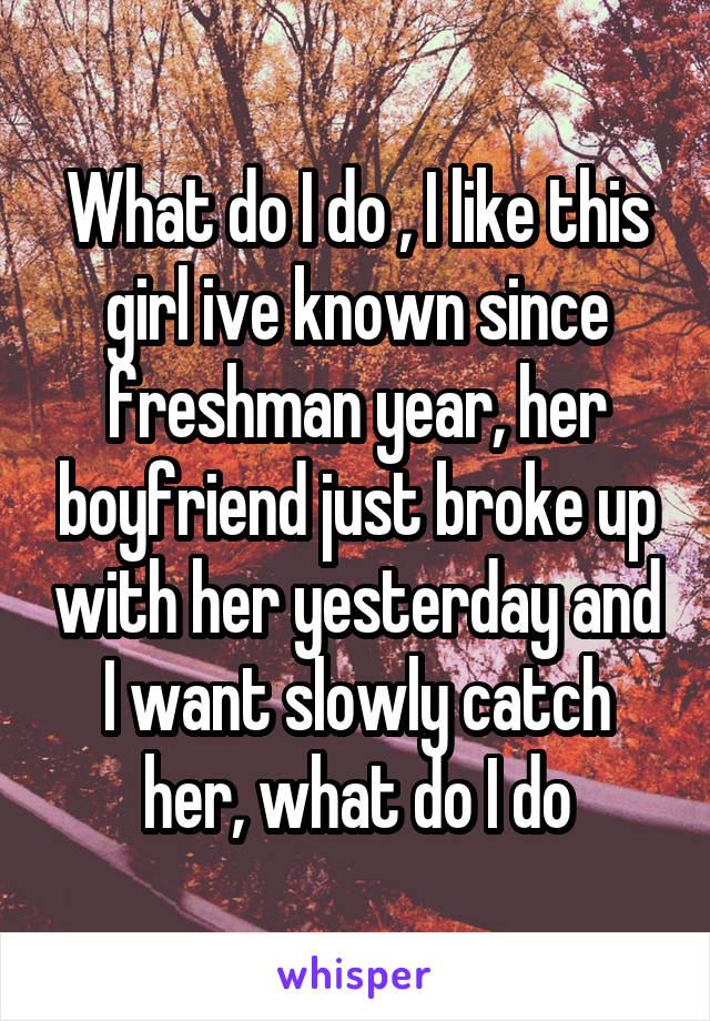 What do I do , I like this girl ive known since freshman year, her boyfriend just broke up with her yesterday and I want slowly catch her, what do I do