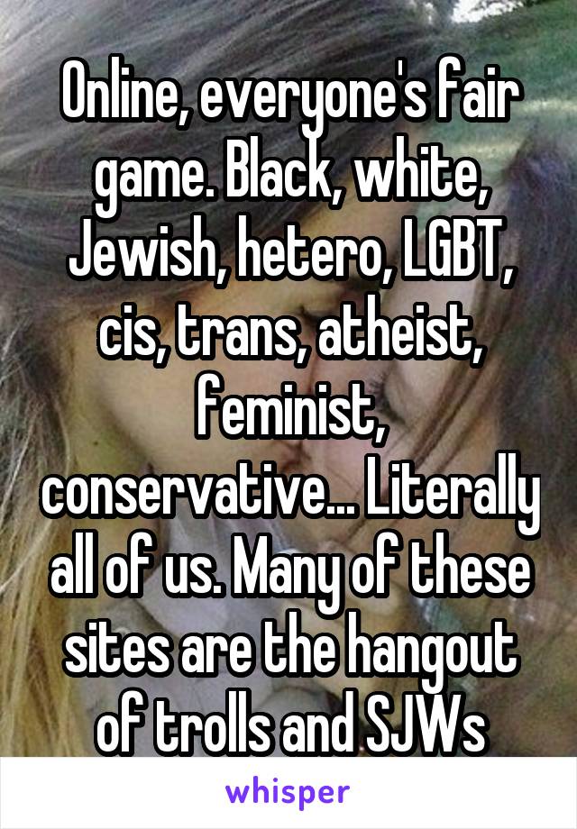 Online, everyone's fair game. Black, white, Jewish, hetero, LGBT, cis, trans, atheist, feminist, conservative... Literally all of us. Many of these sites are the hangout of trolls and SJWs