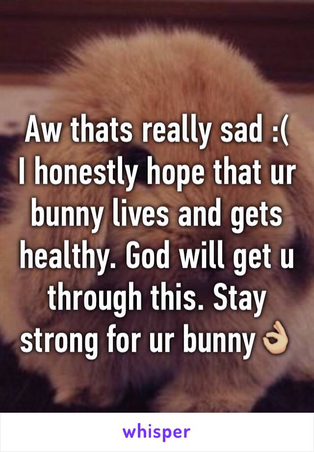 Aw thats really sad :( 
I honestly hope that ur bunny lives and gets healthy. God will get u through this. Stay strong for ur bunny👌🏼