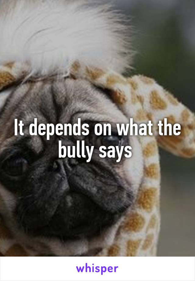 It depends on what the bully says 