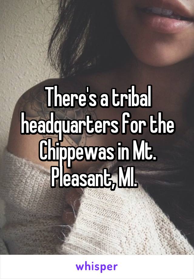 There's a tribal headquarters for the Chippewas in Mt. Pleasant, MI.  