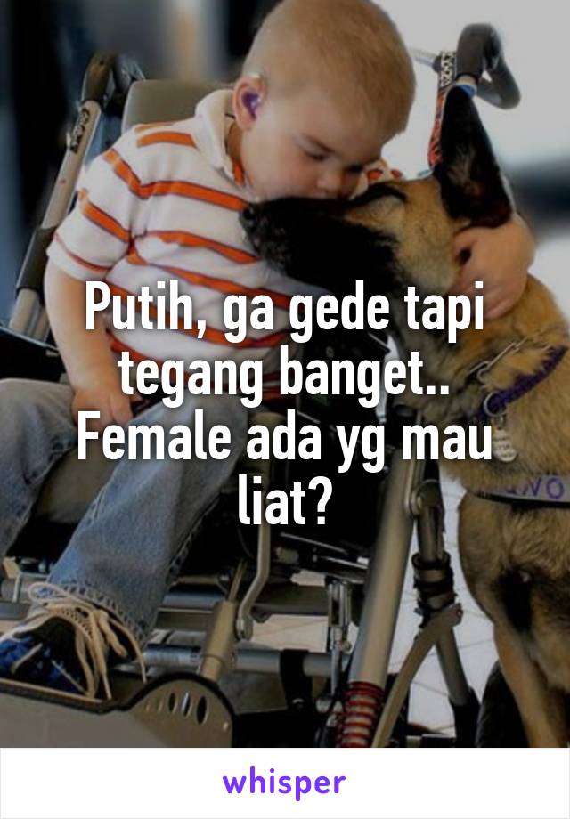 Putih, ga gede tapi tegang banget.. Female ada yg mau liat?