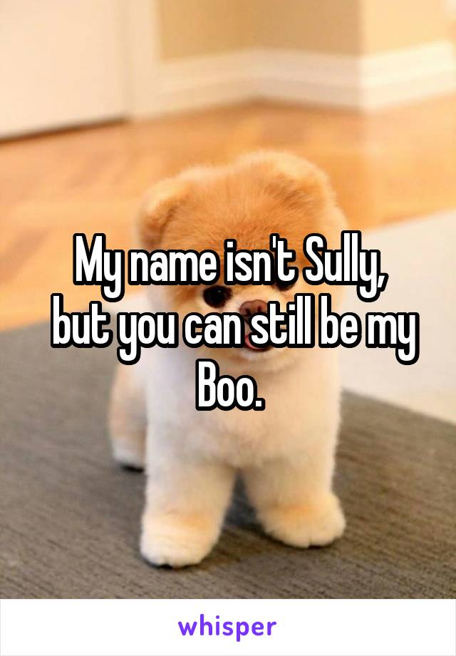 My name isn't Sully,
 but you can still be my Boo.