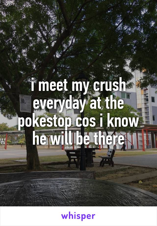 i meet my crush everyday at the pokestop cos i know he will be there