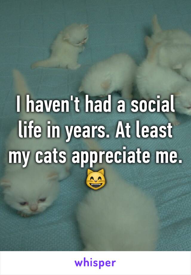 I haven't had a social life in years. At least my cats appreciate me. 😸